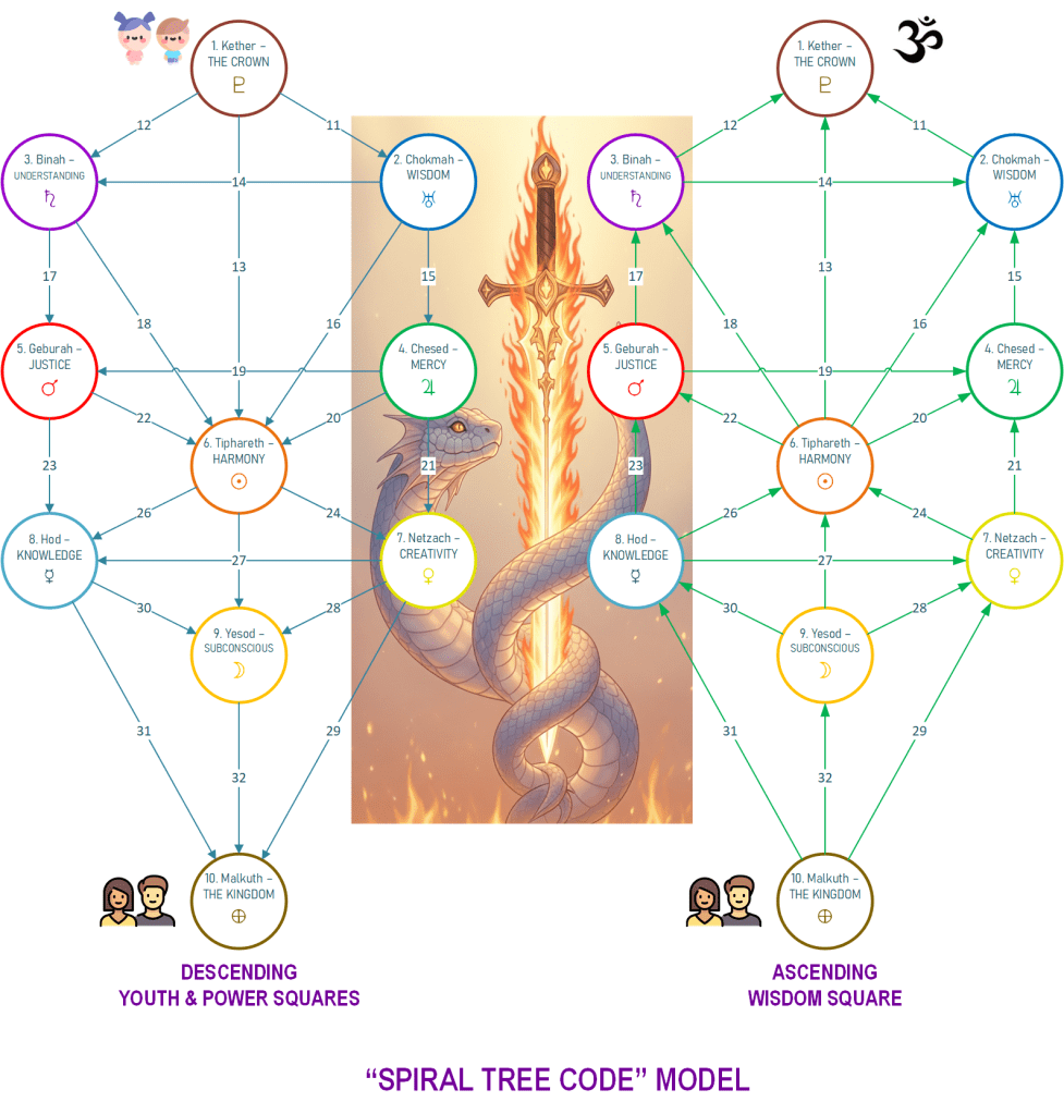"Spiral Tree Code" Model